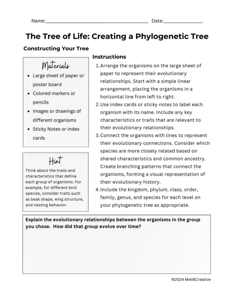 phylogenetic tree paper worksheet phylogenetic tree paper worksheet