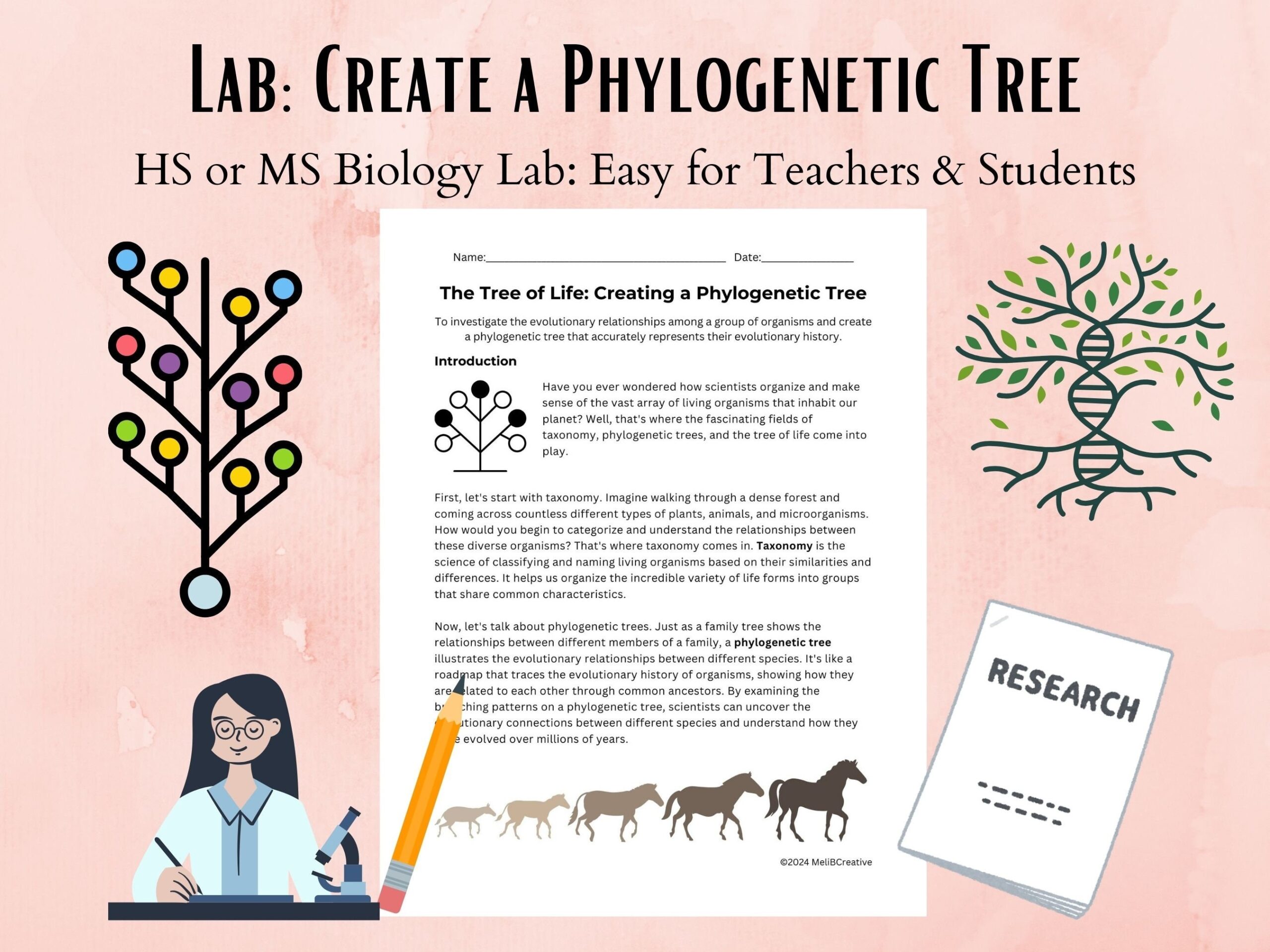 Lab Sheet The Tree Of Life Creating A Phylogenetic Tree Biology Worksheet Science Teachers Homeschool STEM Research NGSS Curriculum Etsy Lab Sheet The Tree Of Life Creating A Phylogenetic Tree Biology Worksheet Science Teachers Homeschool STEM Research NGSS Curriculum Etsy