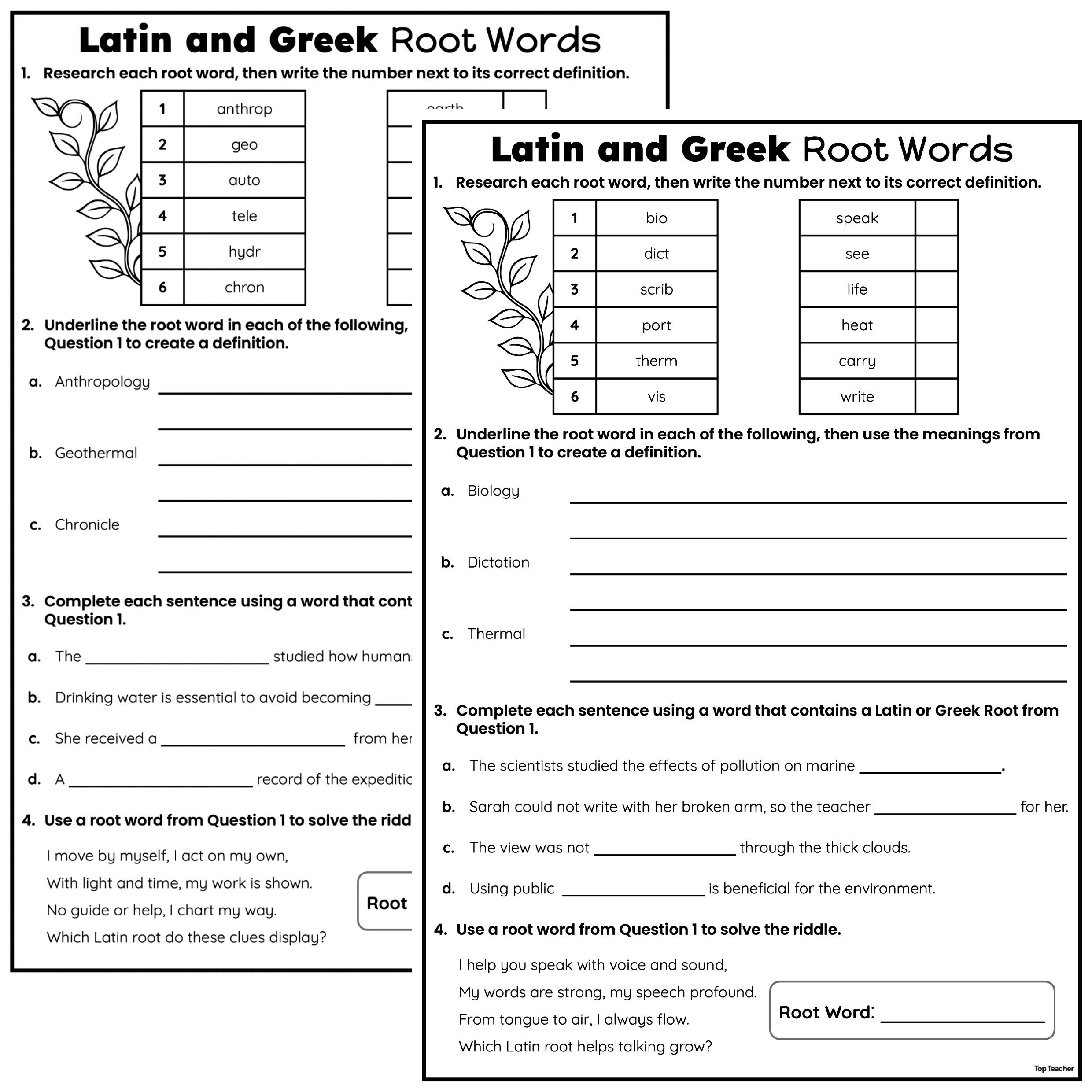 Latin And Greek Root Words Worksheet Top Teacher