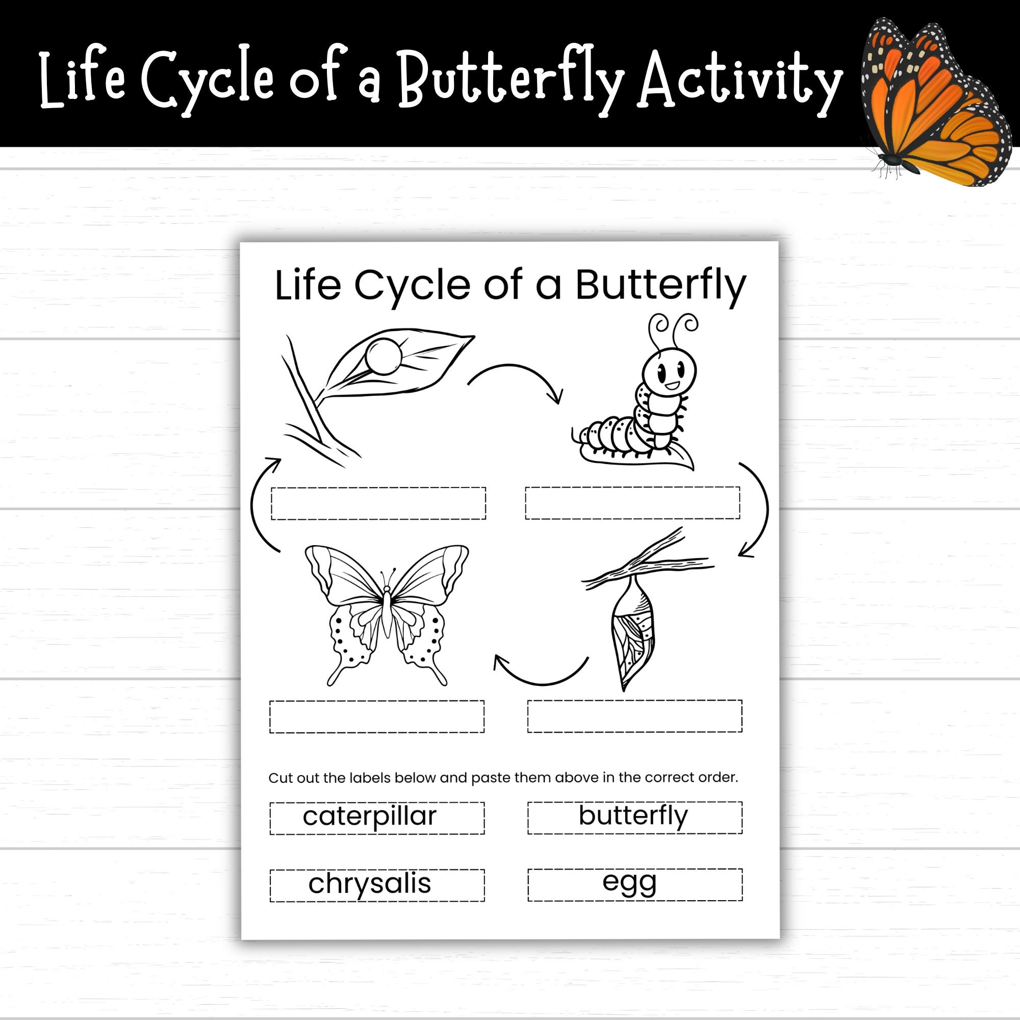 life cycle of a butterfly worksheet life cycle of a butterfly worksheet