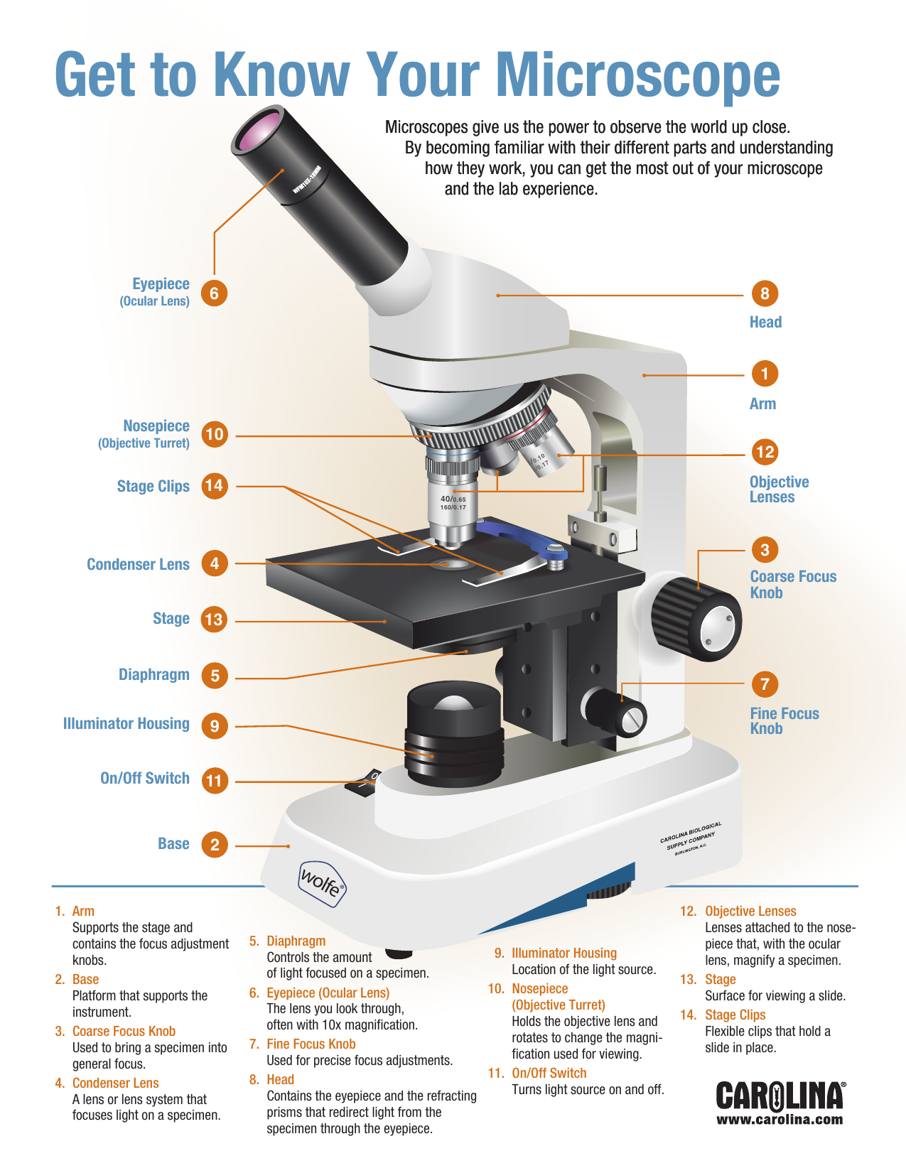parts of a microscope worksheet