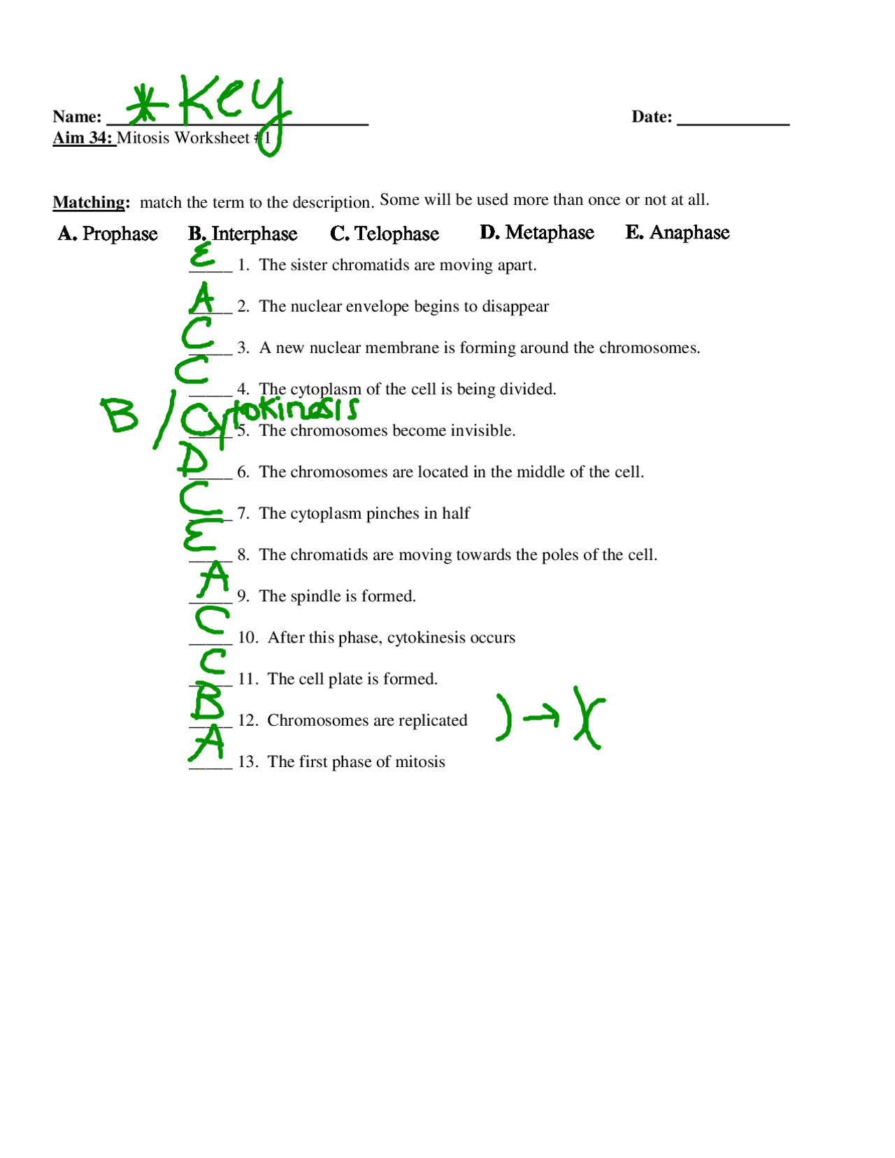 mitosis worksheet answer key