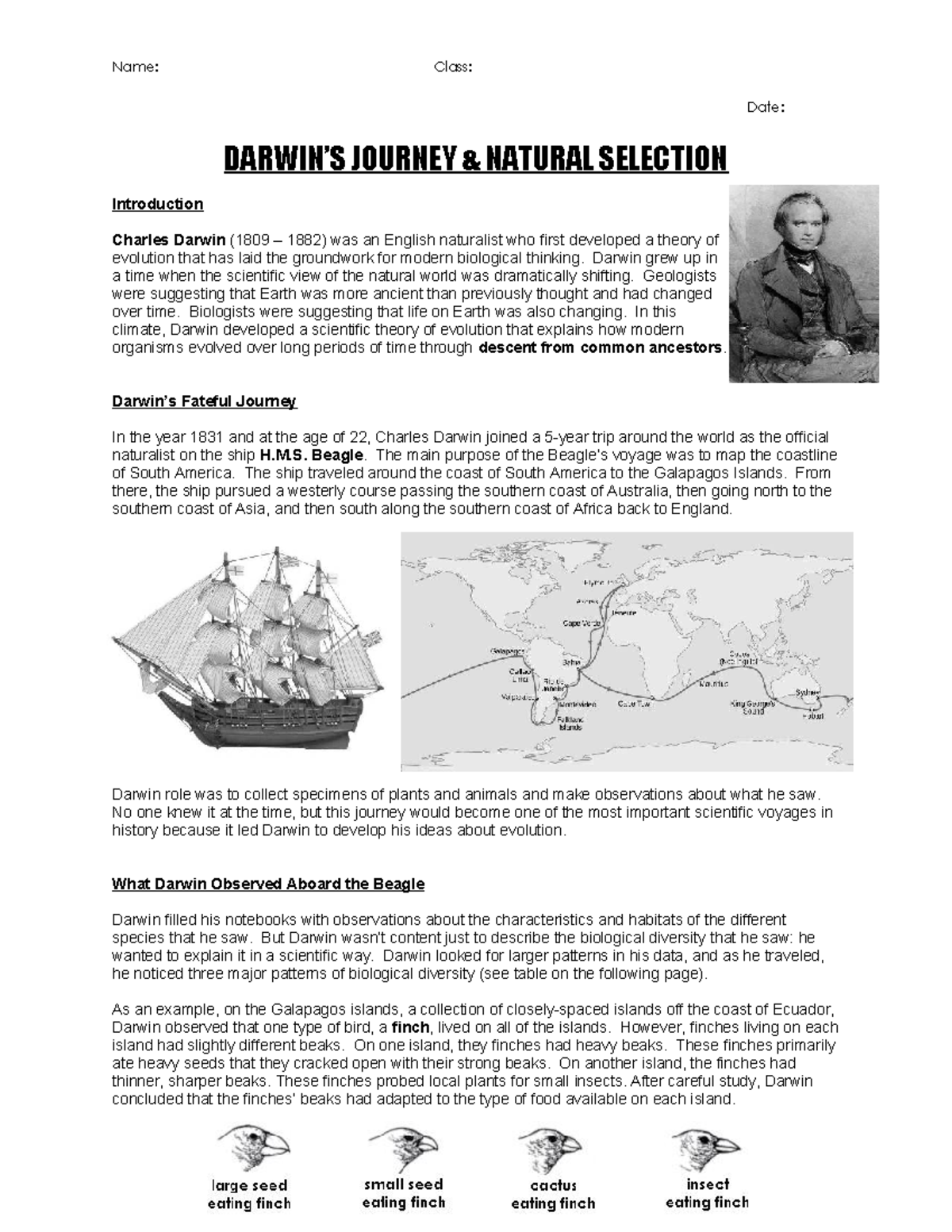 Natural Selection Worksheet Darwin s Journey Insights BIO101 Studocu