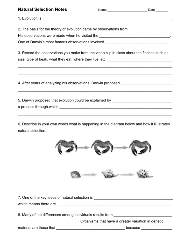 darwin's natural selection worksheet