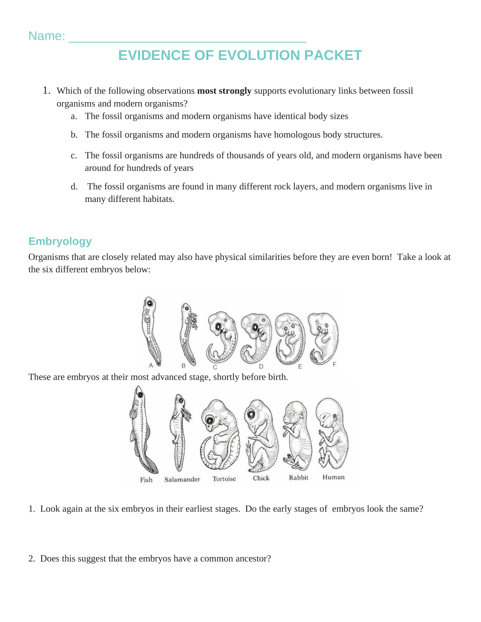 evidence of evolution worksheet evidence of evolution worksheet