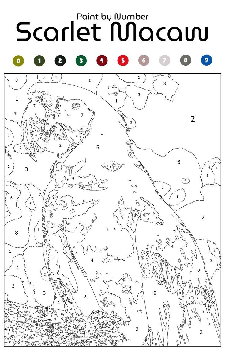 printable paint by numbers for adults printable paint by numbers for adults