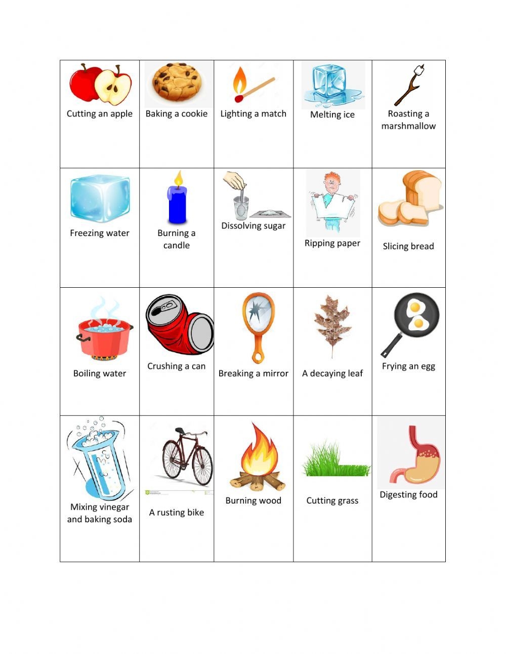 Physical And Chemical Changes Interactive Worksheet For 7 Physical And Chemical Changes Interactive Worksheet For 7