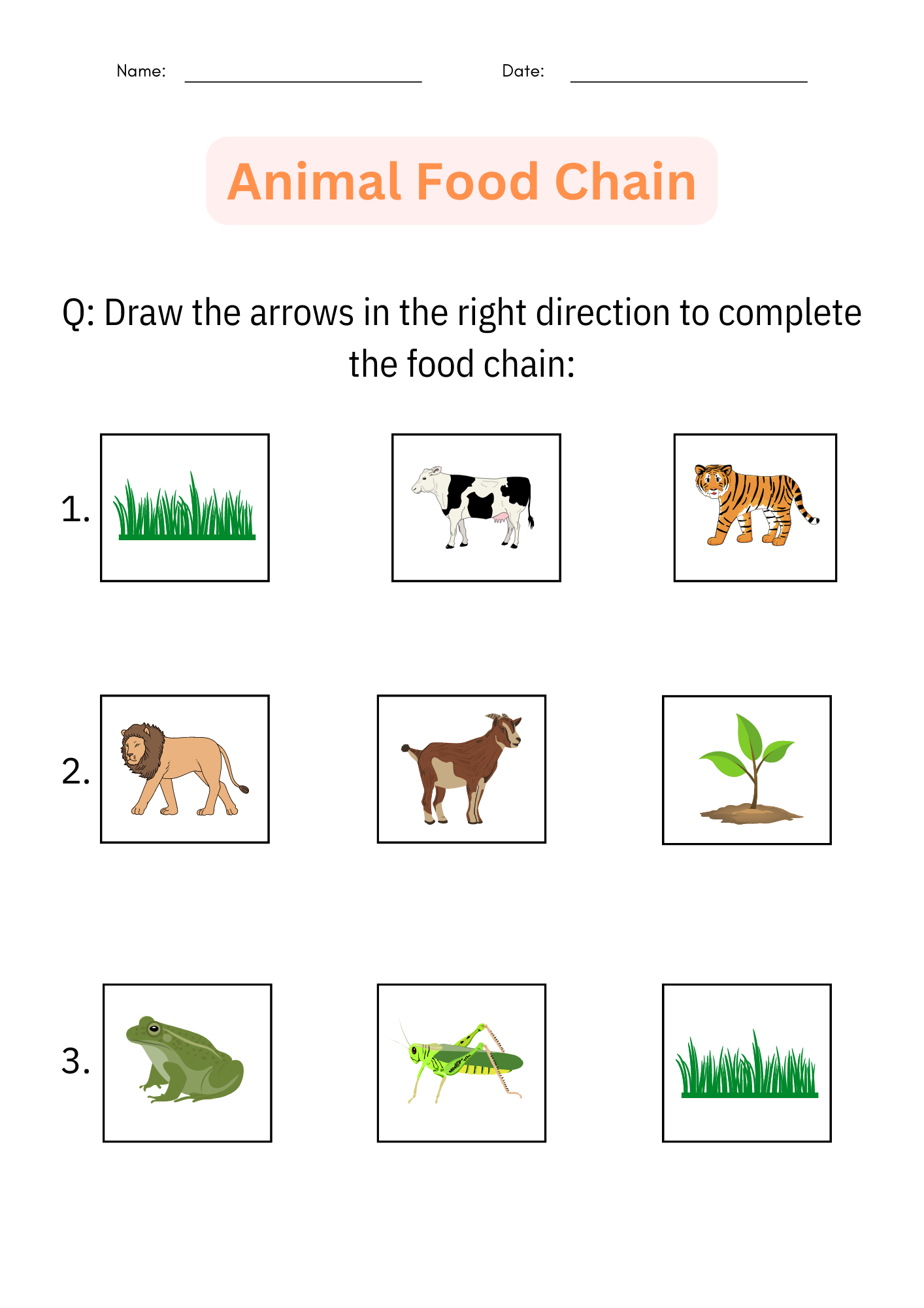 Printable Animal Food Chain Worksheet And Activity Cut And Paste For Grade 1 Made By Teachers