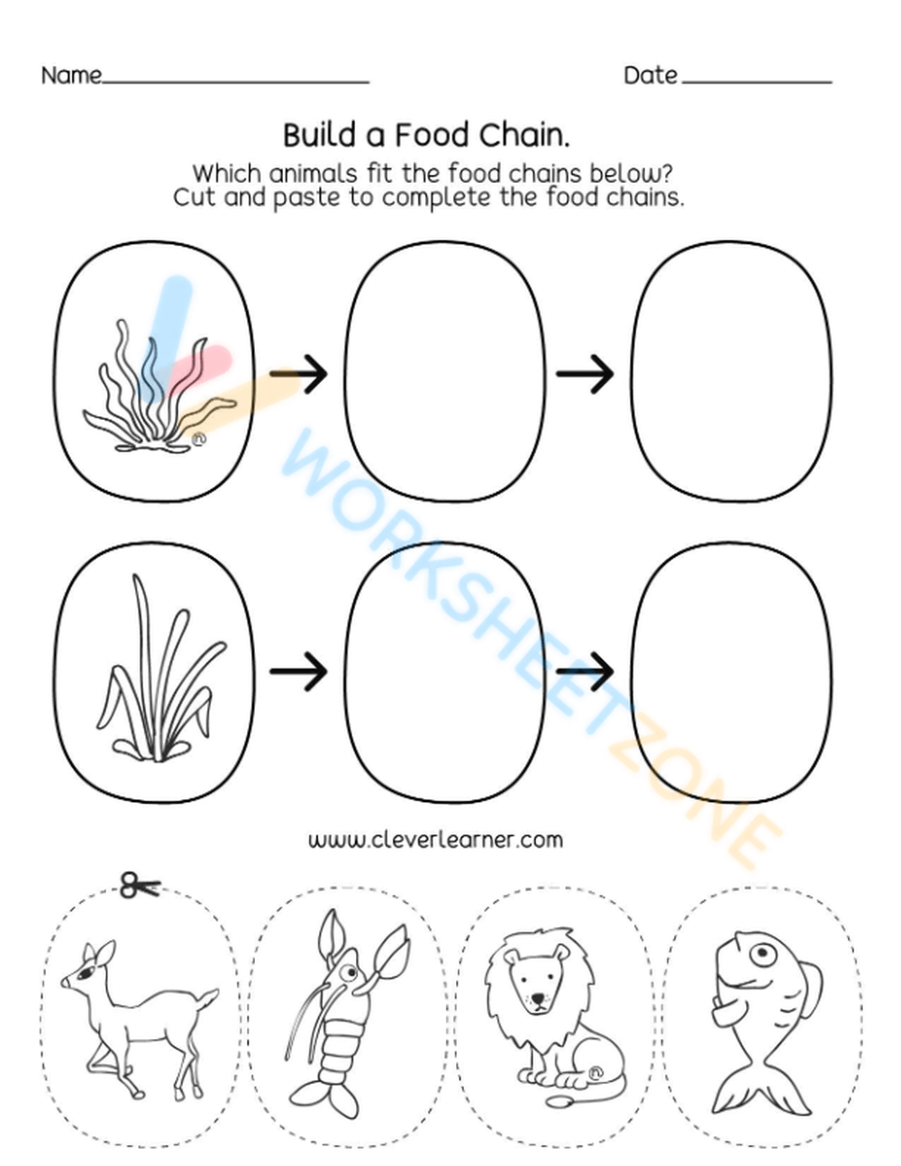 food chain worksheet