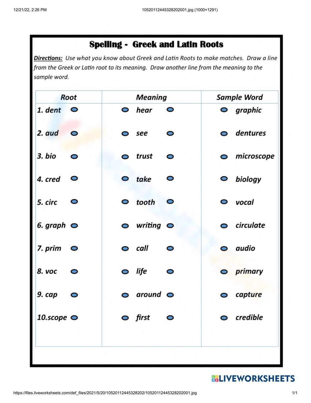 Printable Grade 6 Greek And Latin Roots Worksheets Download