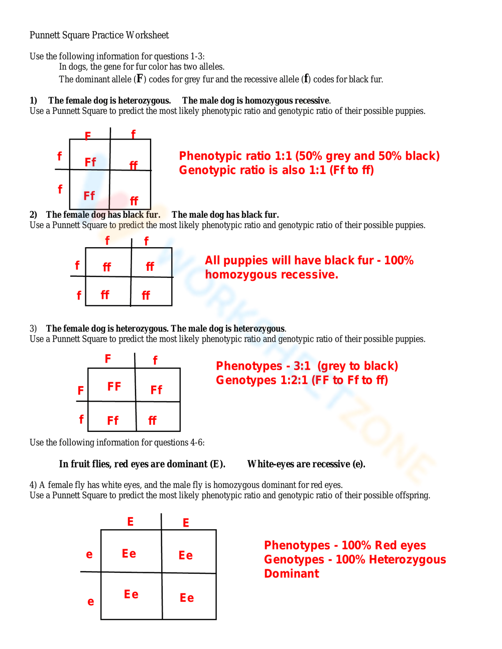 Printable Grade 9 Punnett Square Practice Worksheets