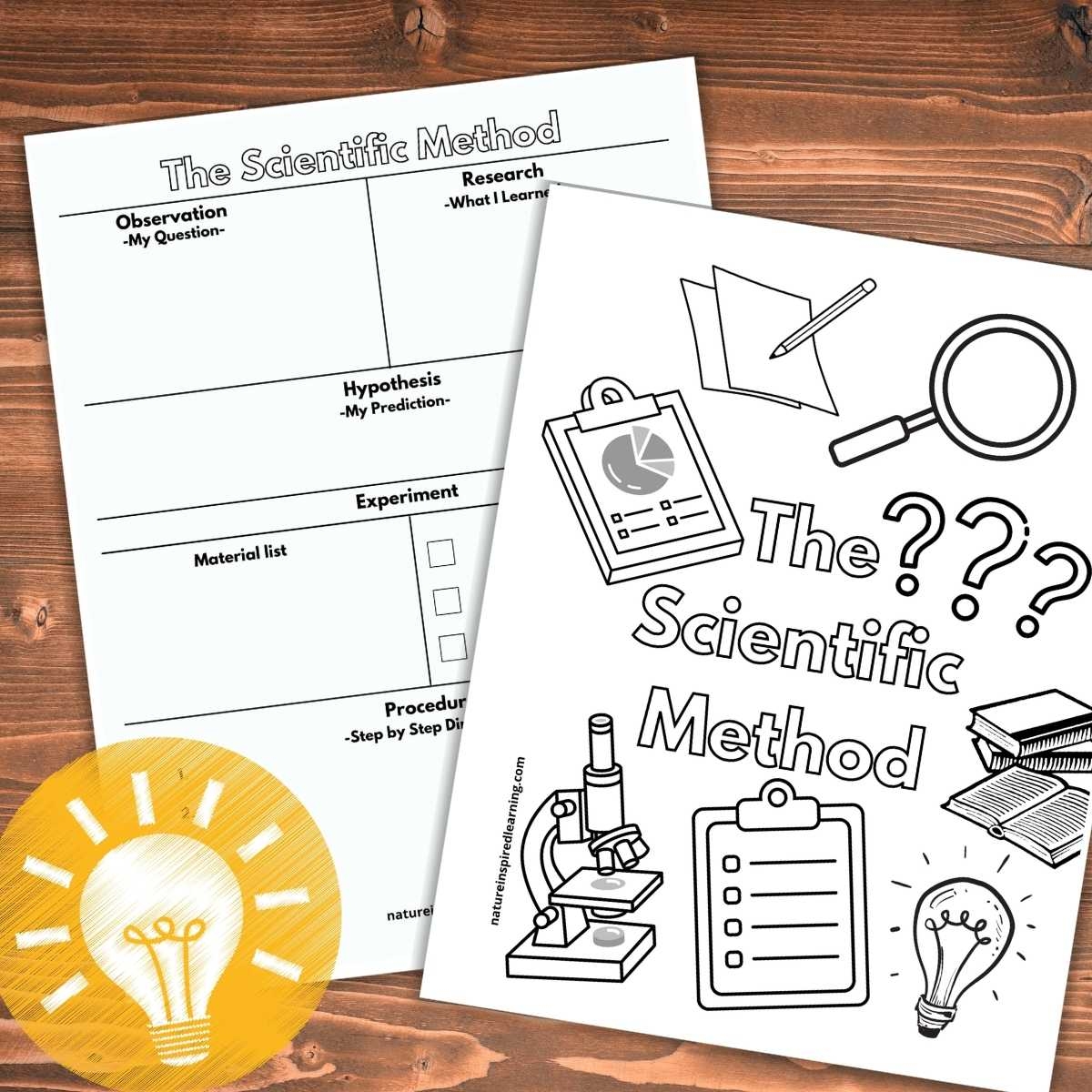 scientific method worksheet