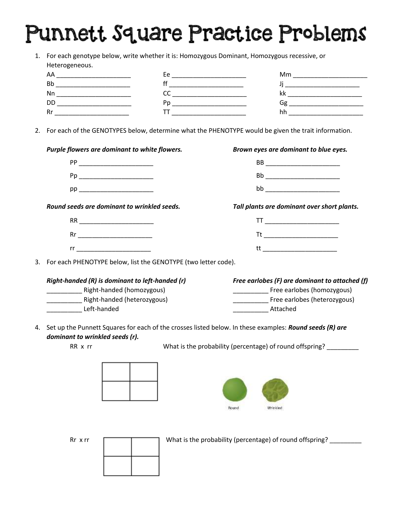 punnett square worksheet practice