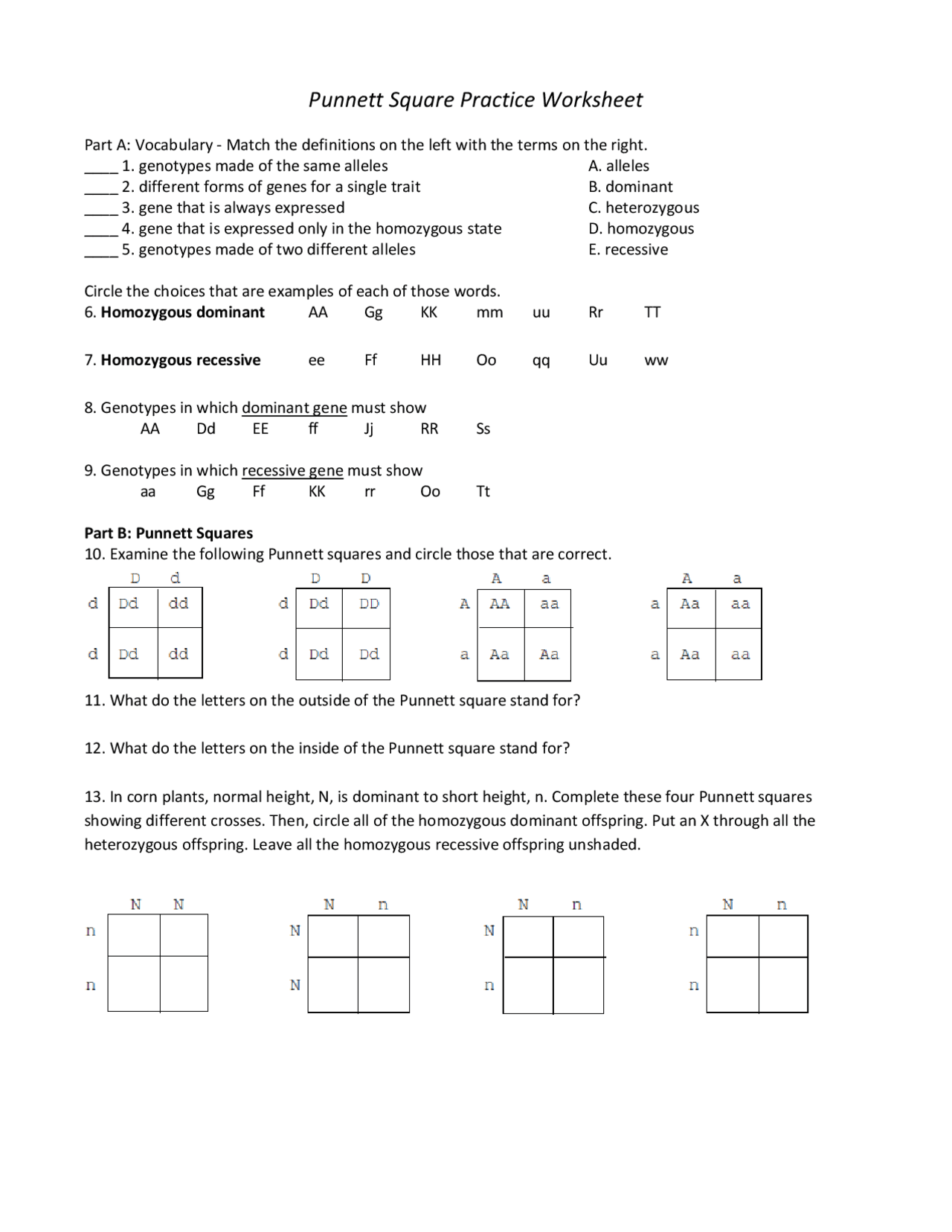 Punnett Square Practice Worksheet Genetics And Inheritance Summaries Genetics Docsity