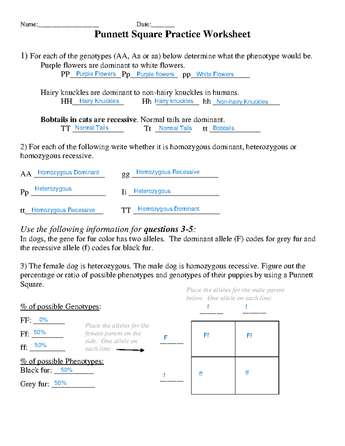 Punnett Square Practice Worksheet Module 03 02 Studocu