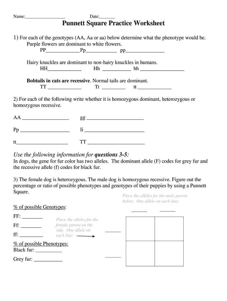 Punnett Squares Worksheet With Answers Pdf Fill Out Sign Online DocHub