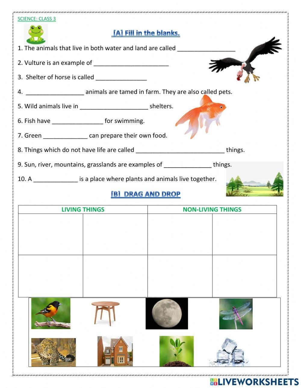 3rd class science worksheets