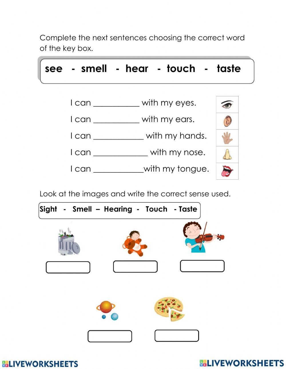 Science Grade 2 Week 20 Worksheet Worksheets Library