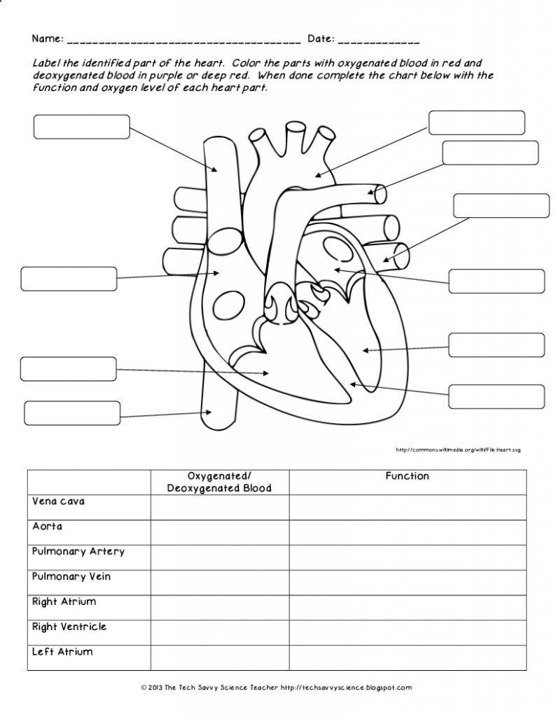 Science Worksheets Label Parts Of A Human Heart