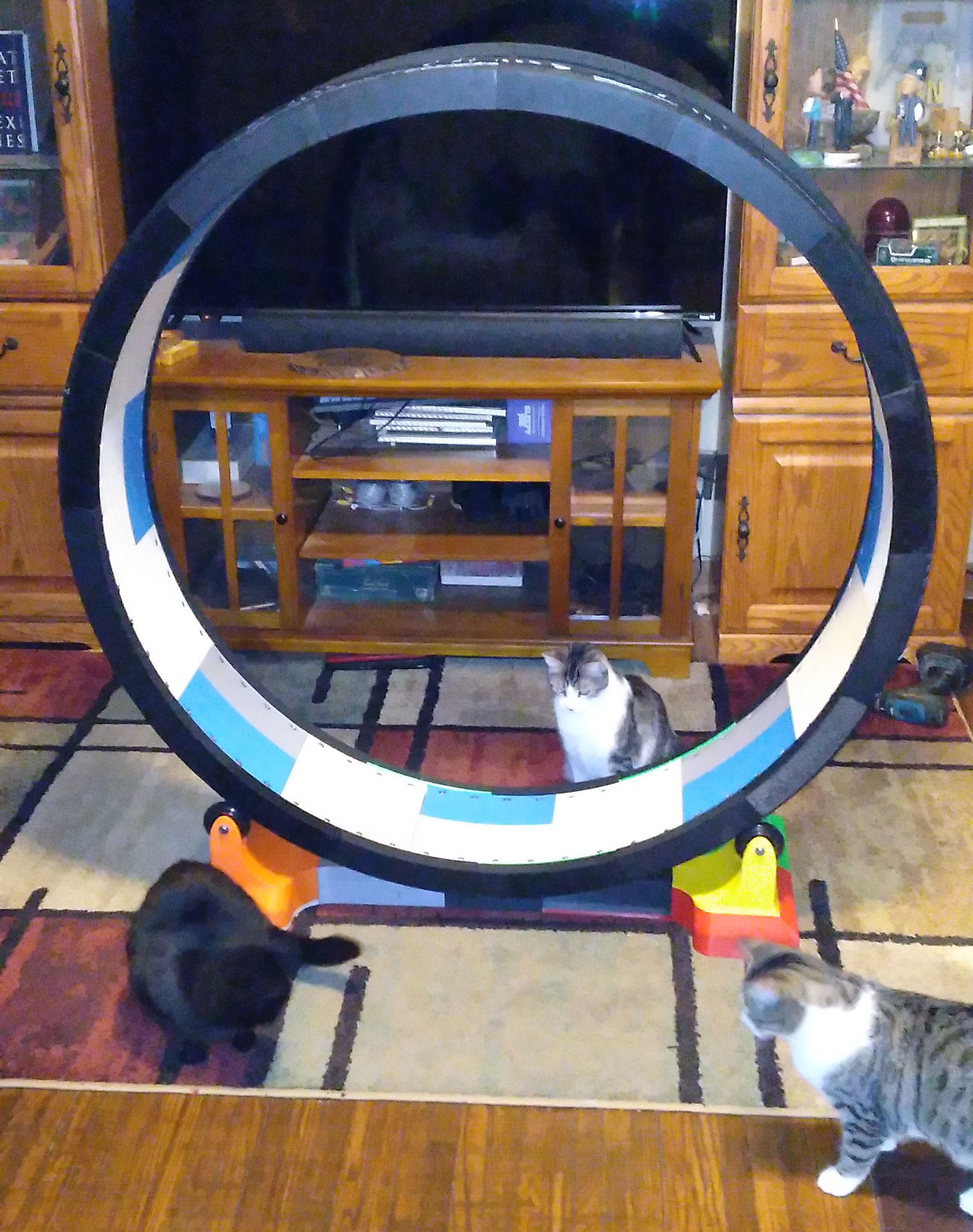Sia Josephine My 3D Printed Cat Wheel Sia Josephine My 3D Printed Cat Wheel