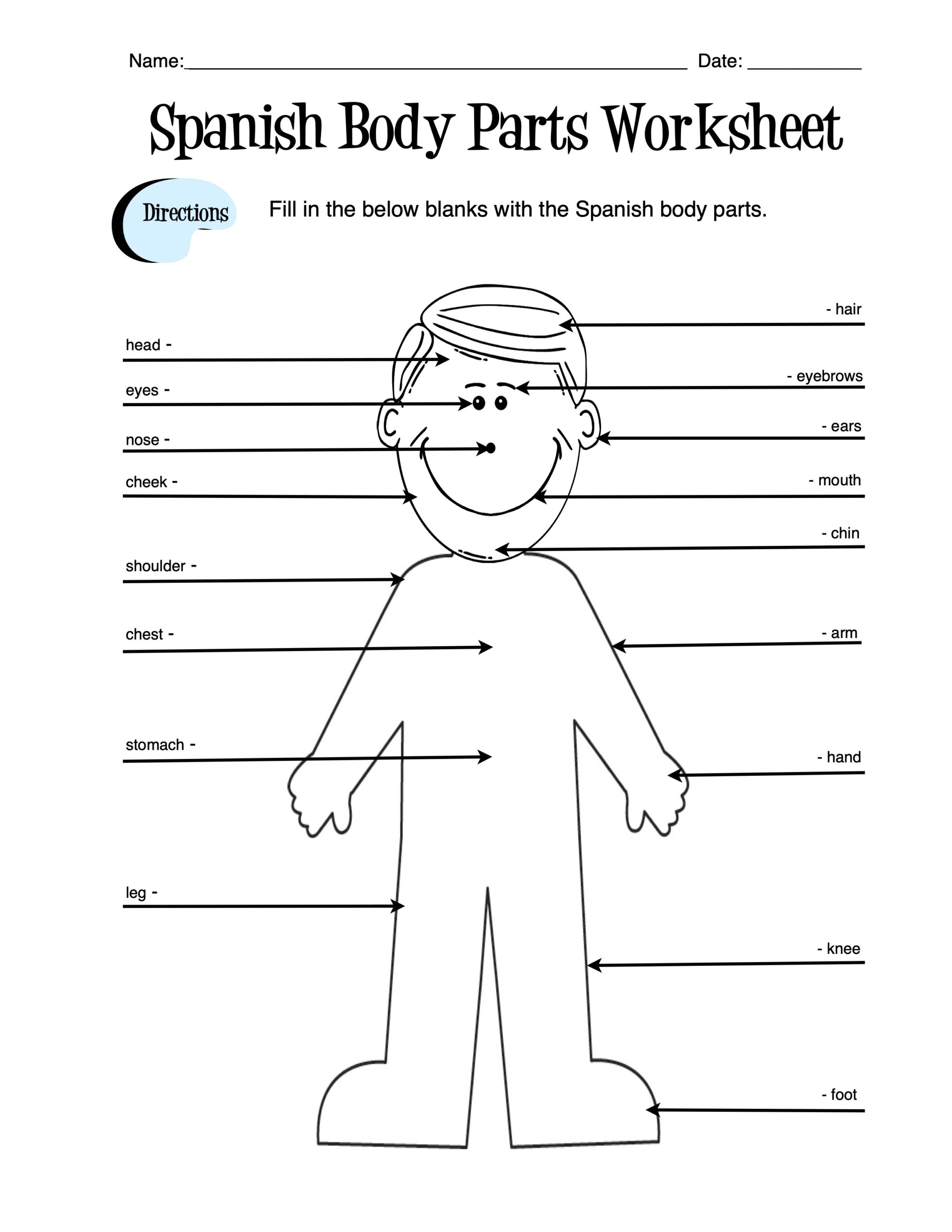 Spanish Body Parts Label Worksheet Answer Key Made By Teachers