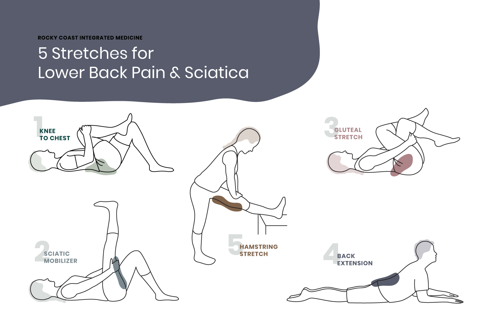 Stretches Exercises For Lower Back Pain And Sciatica Rocky Coast Integrated Medicine Portland Maine Rocky Coast Integrated Medicine Portland Maine