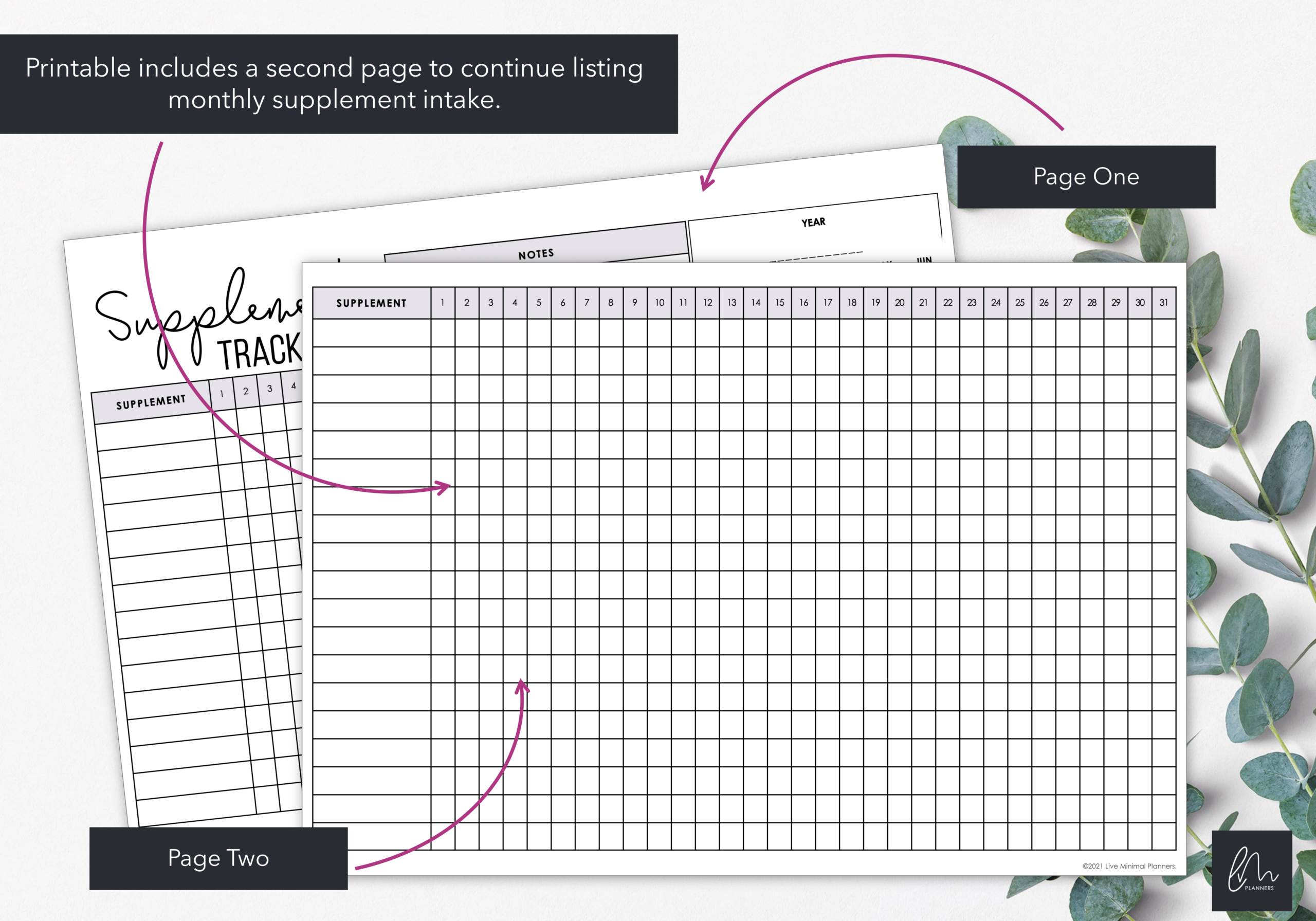 printable supplement intake