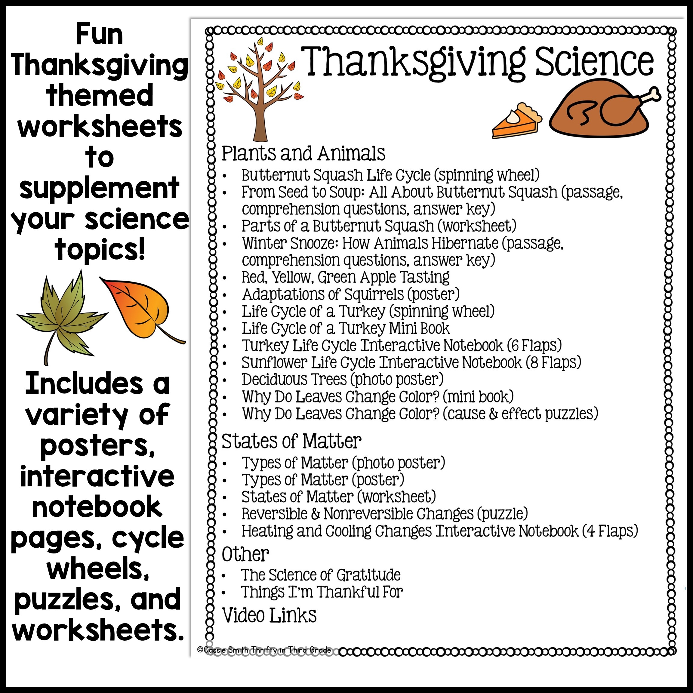 3rd grade science worksheets