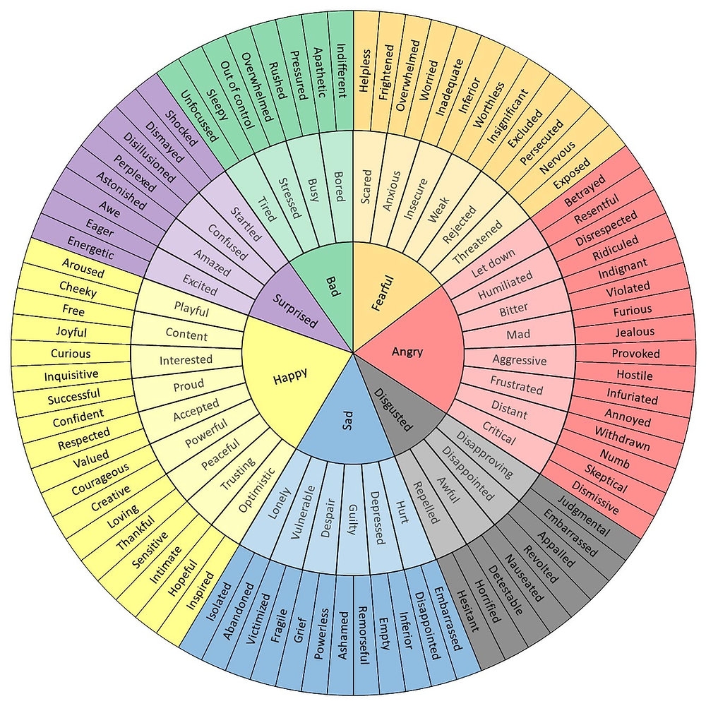 The Feelings Wheel