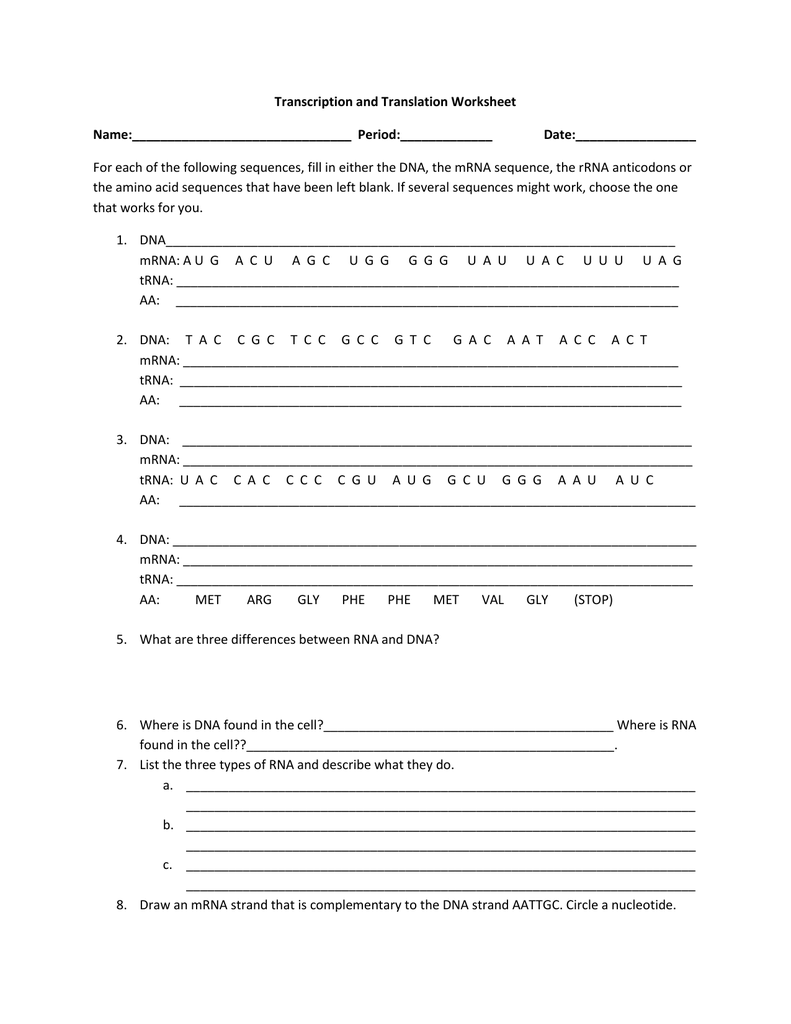 Transcription And Translation Worksheet DNA