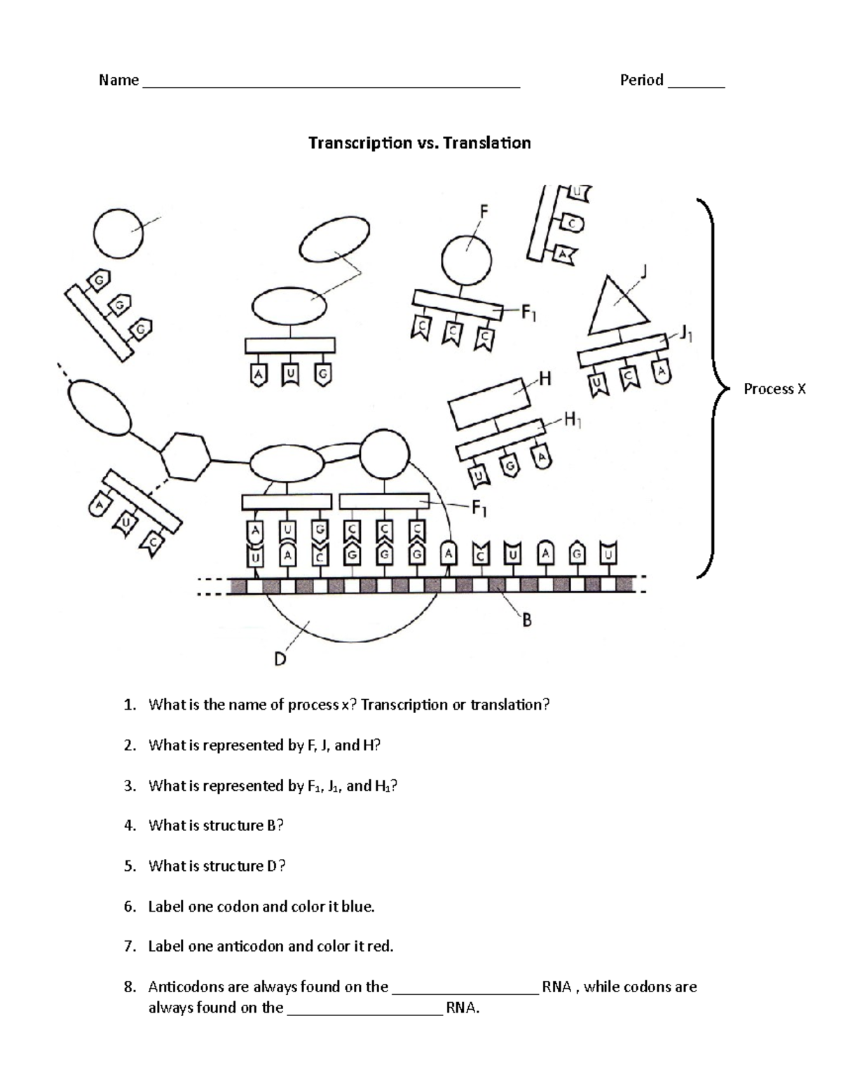 Transcription Vs Translation Process Worksheet For Biology Studies Studocu