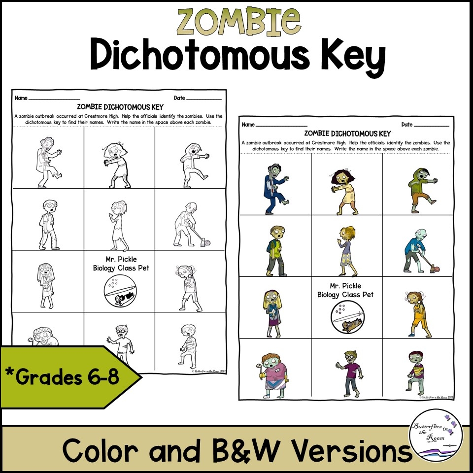 dichotomous key worksheet
